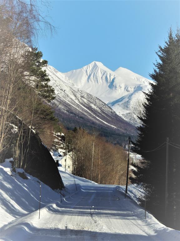 Tindelykke Villa Isfjorden ภายนอก รูปภาพ